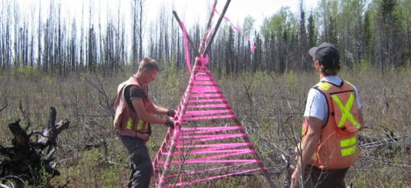 Core Hole Surveys