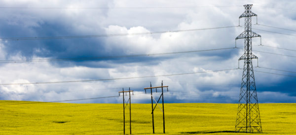 East Palliser Transmission Line