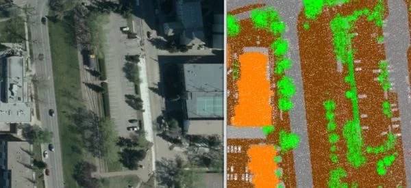 Canopy Cover Analysis