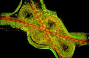 3D laser scanning, Alberta 3D Laser Scanning, Highway overpass laser scanning, Canada's best 3D modelling and laser scanning, Calgary laser scanning, Canadian Laser Scanning, 3D Modelling, Canadian 3D Modelling, 3D Modelling in Canada, 3D Modelling Alberta, 3D Modelling Edmonton, 3D Modelling Vancouver, 3D Modelling British Columbia, 3D Modelling Yellowknife, 3D Modelling Whitehorse, 3D Scanning